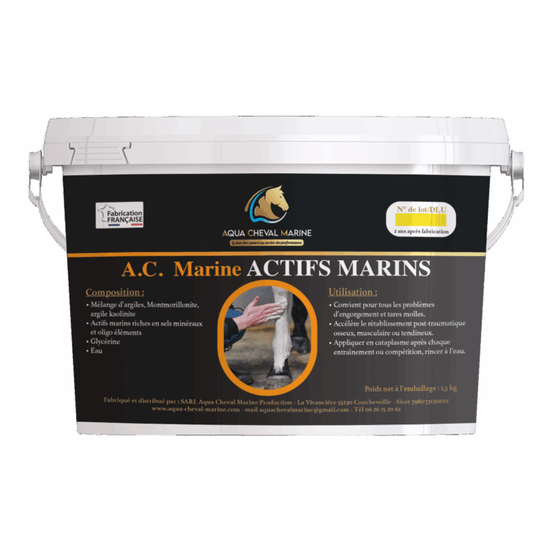 Actifs Marins