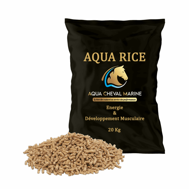 Aqua Rice