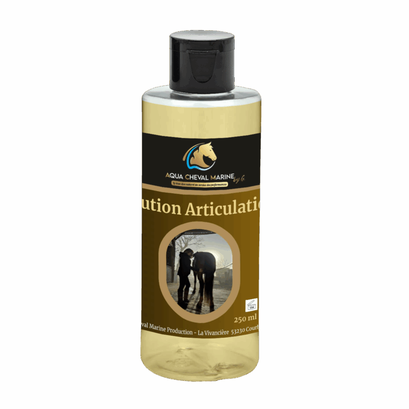 Solution Articulaire