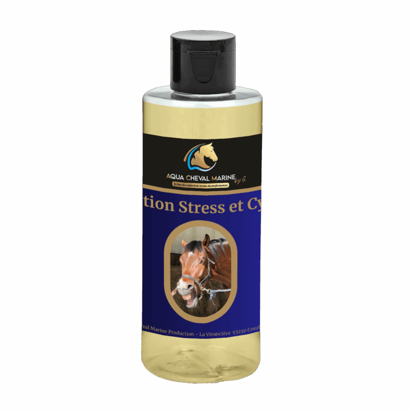 Solution Stress et Cycles