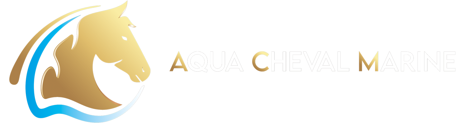 logo-aqua-cheval-marine-008