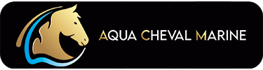 logo-aqua-cheval-marine-010